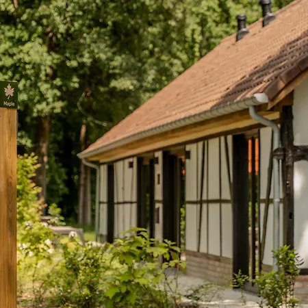 Met Jacuzzi - 8 Personen - Woodz Villa *